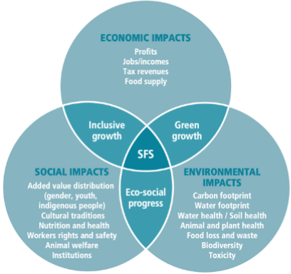 faoimpact